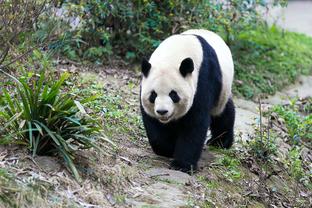 伤缺1年后首秀❗纳达尔搭档同胞出战男双，0-2止步布里斯班站首轮